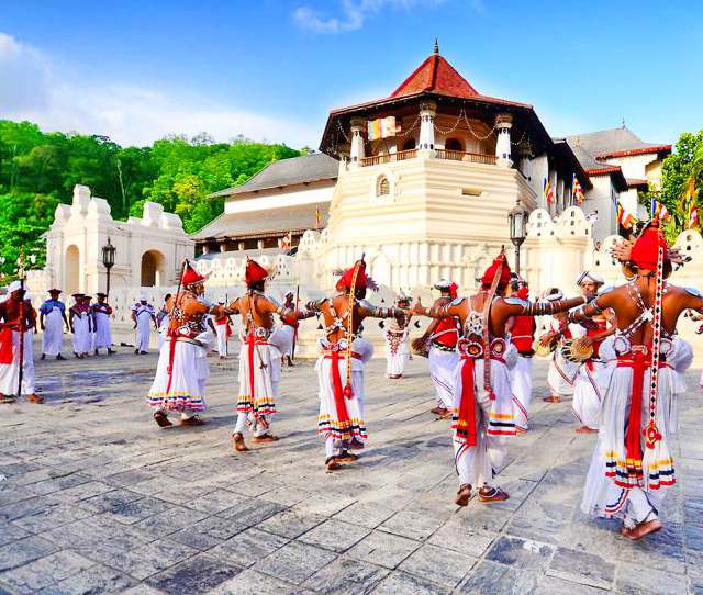 ayur_lanka_tours