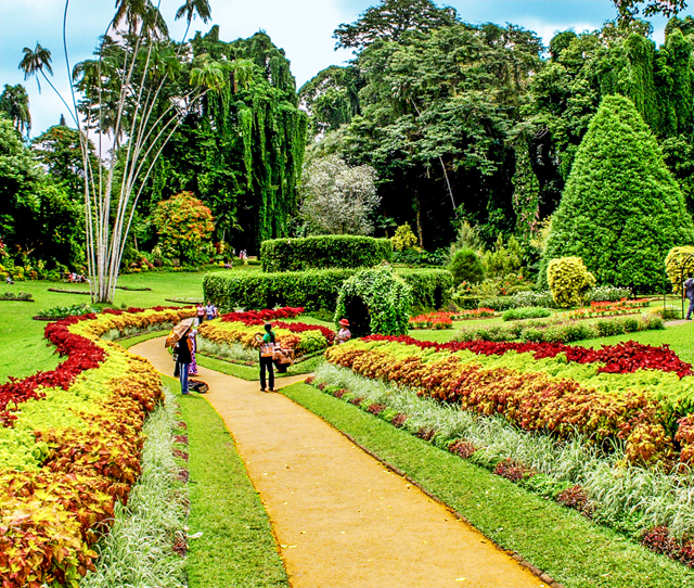 ayur_lanka_tours
